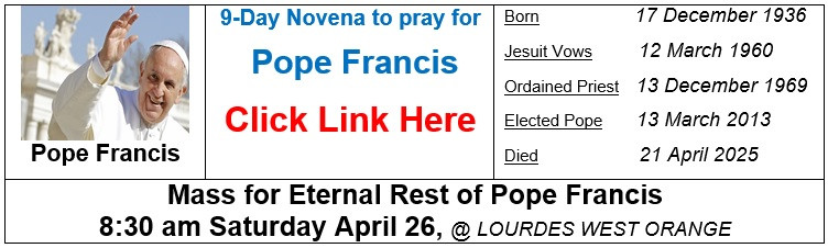 francisnovenalink